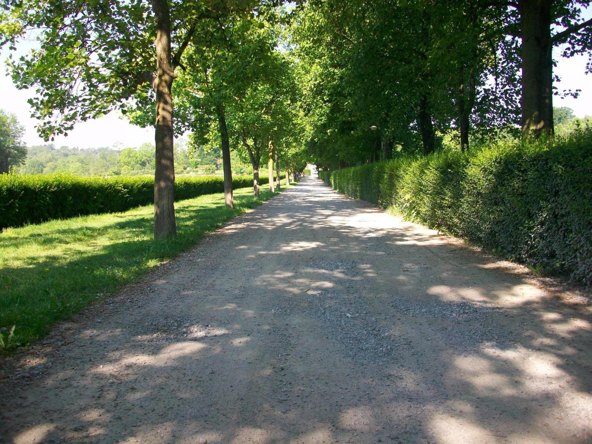 B&B L'Albero Maestro Orsenigo Exterior photo